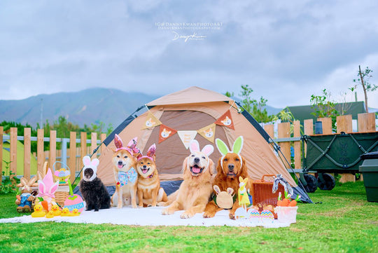 寵物露營